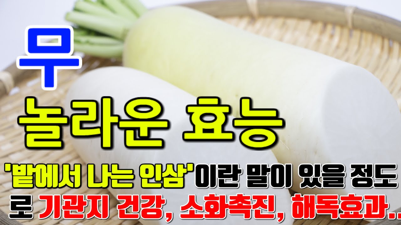 무의 놀라운 효능 8가지 & 부작용 / 
