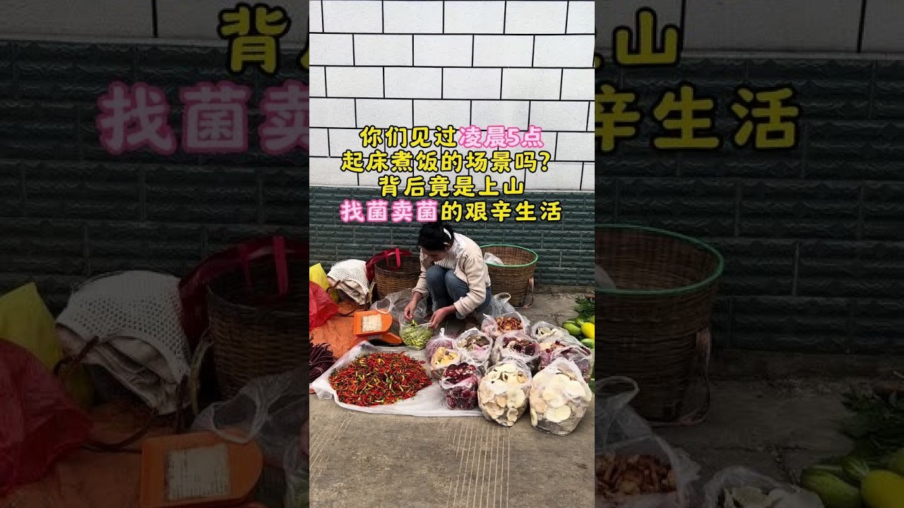 你们见过凌晨5点起床煮饭的场景吗？当大多数人还在睡梦中，农村的一些身影已在灶台前忙碌。他们煮好饭，趁着夜色踏上山路，只为寻找那满筐的菌子。而这满筐菌子的背后，究竟藏着怎样不为人知的故事？还有那凌晨天