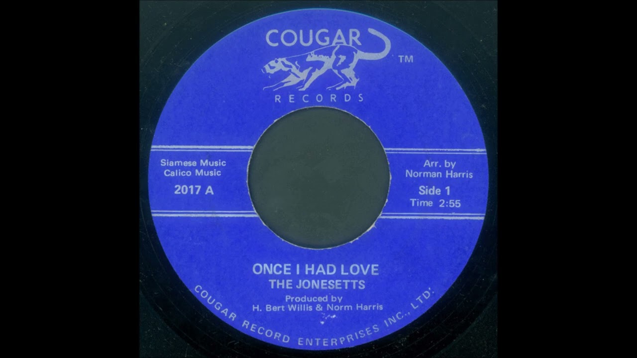 THE JONESETTS   ONCE I HAD LOVE