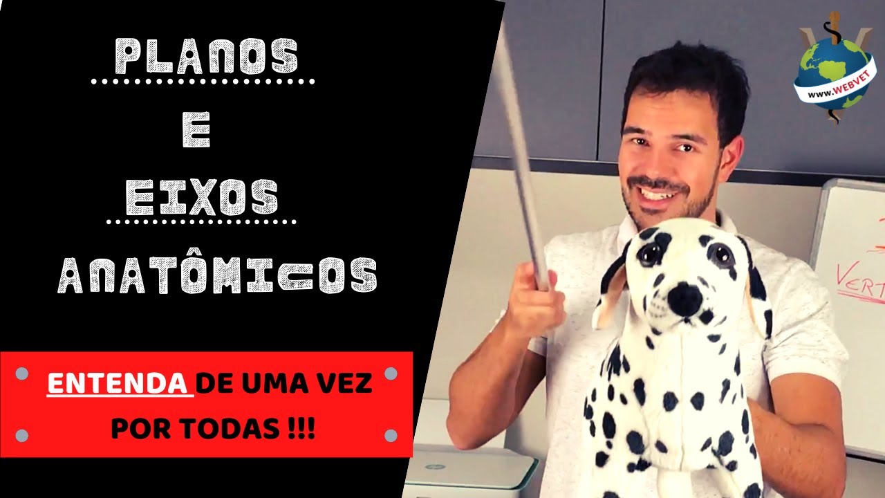 Planos e Eixos Anatômicos | WEBVET