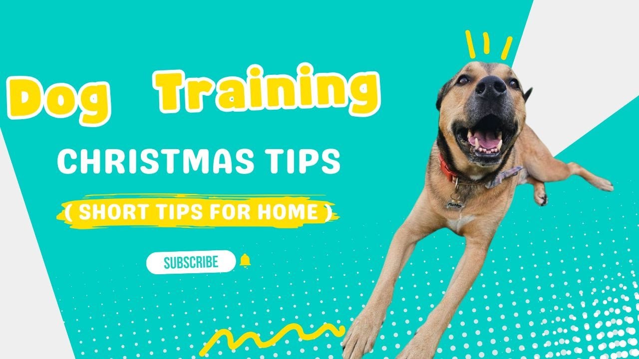 Holiday Guest Ready? This Dog Training Hack Works Fast
