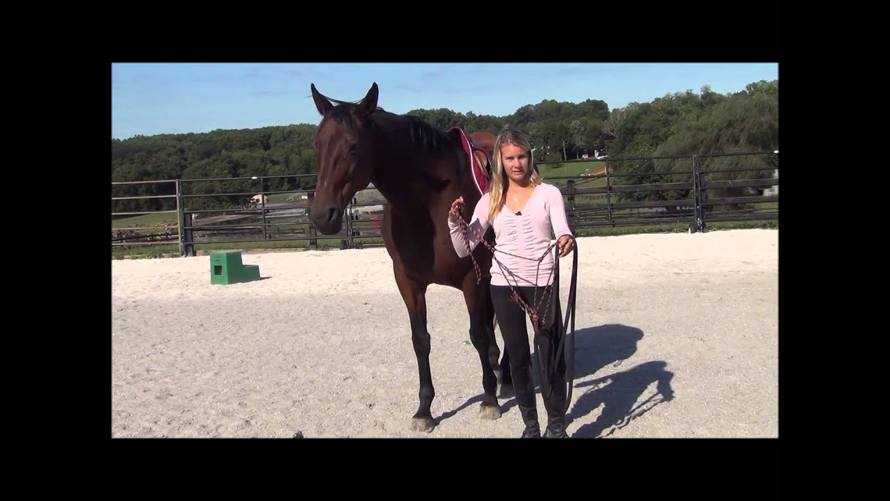 Rope Halters