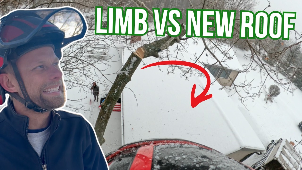 One Wrong Move and This Limb Would've Destroyed Everything
