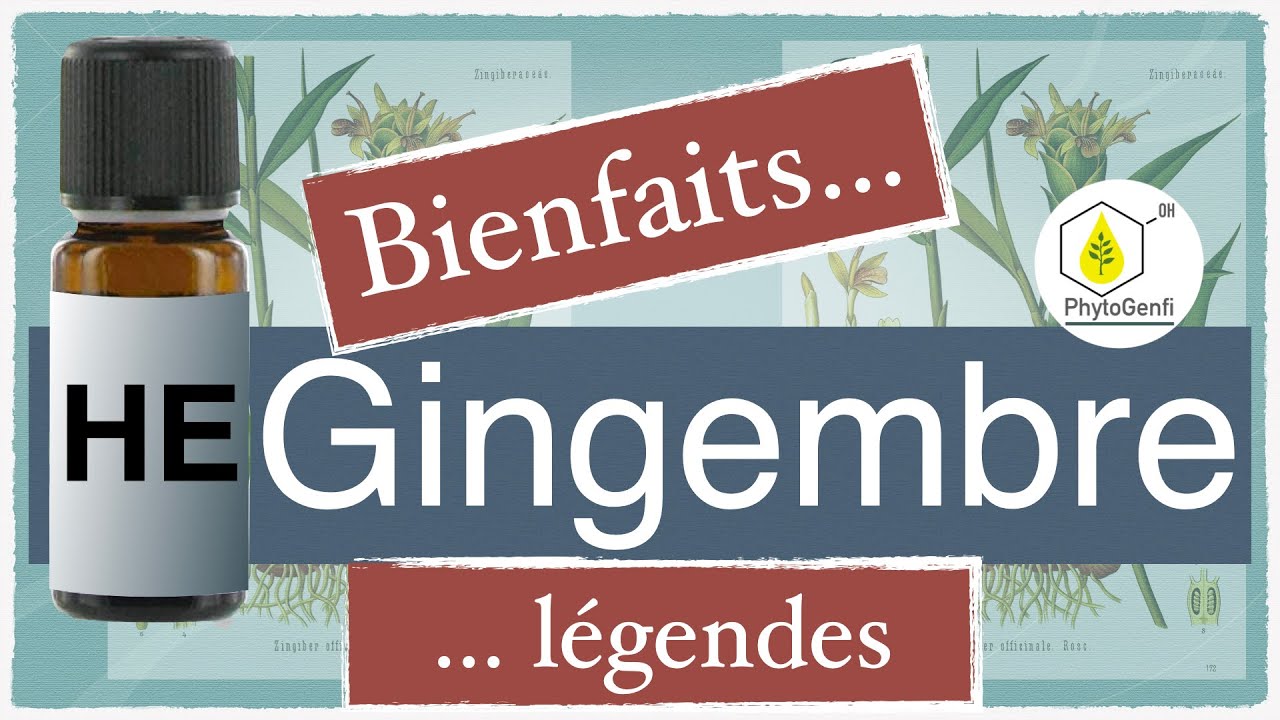 L'huile essentielle de gingembre, propriétés et légendes....