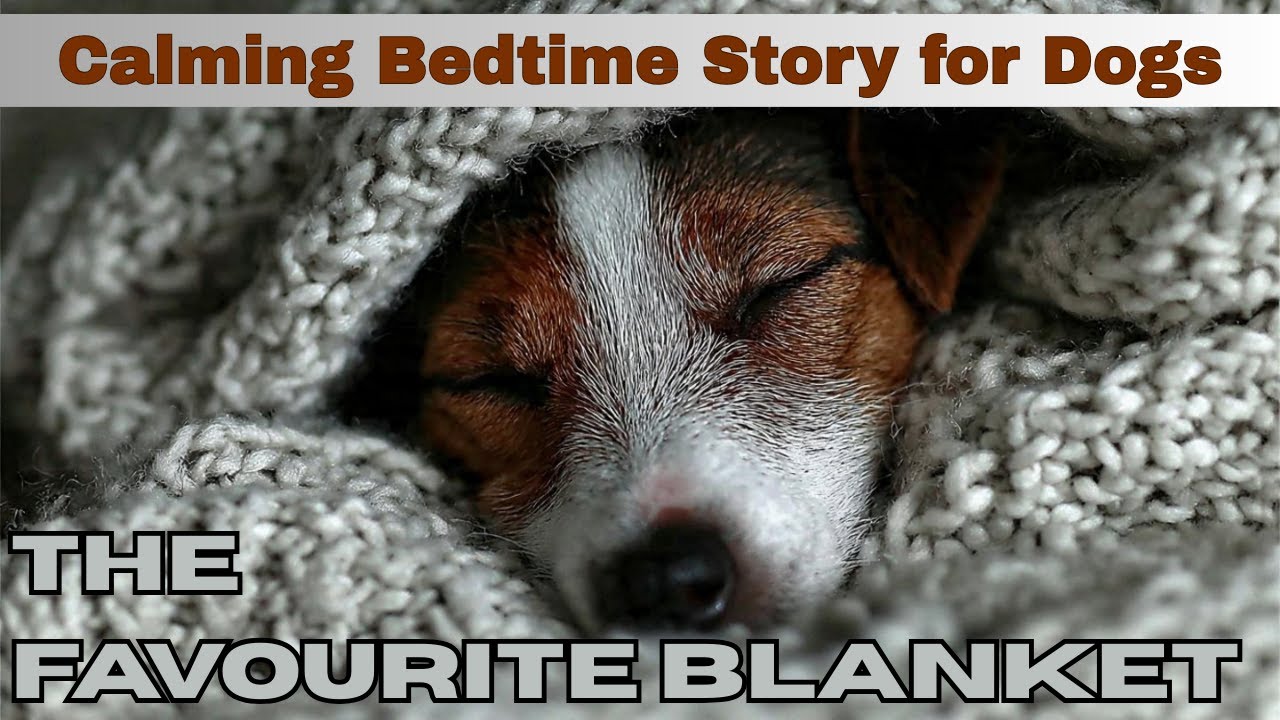 The Favourite Blanket - Puppy Sleep Crate Training Story