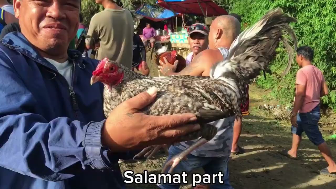 MASIPAG KALANG MAY AANIHIN KA, MANTALUNGON CEBJ