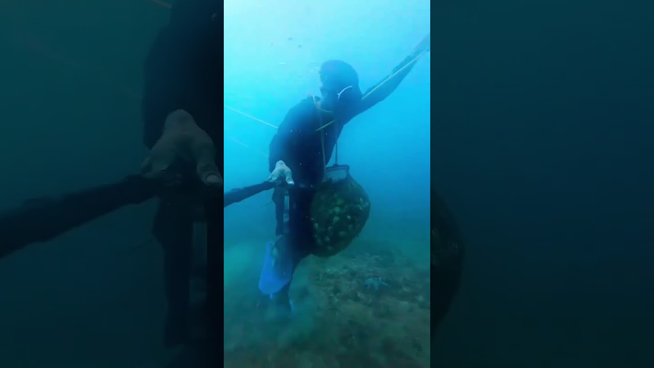 Sisid sa kailaliman ng dagat #diving #seafoods #sea #fisherman #shells 