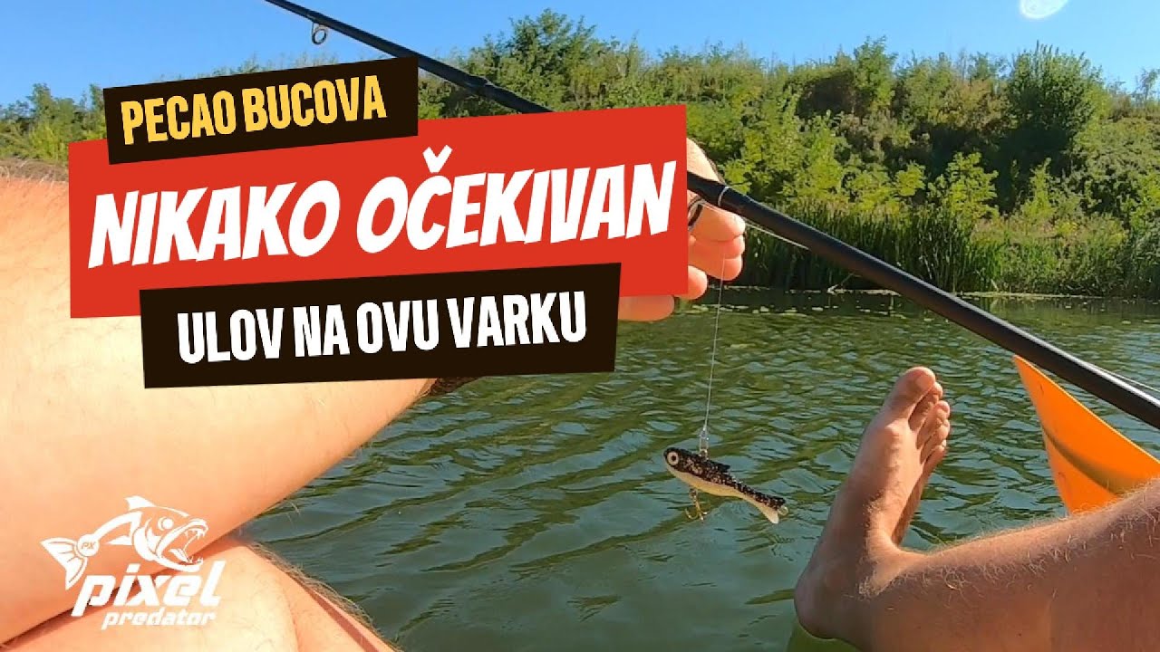 Nikako ga nisam očekivao | Pecanje bucova na lastin rep kad ono...
