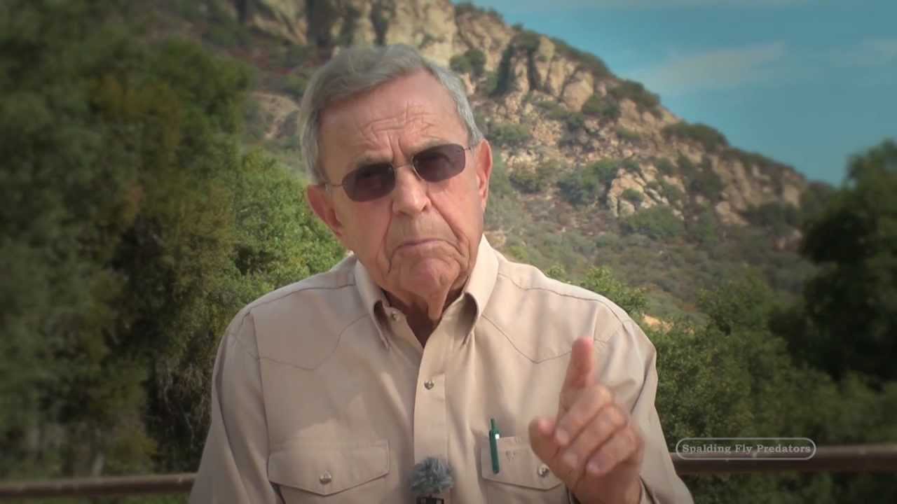 10 Equine Behaviors Explained by Dr. Robert M. Miller