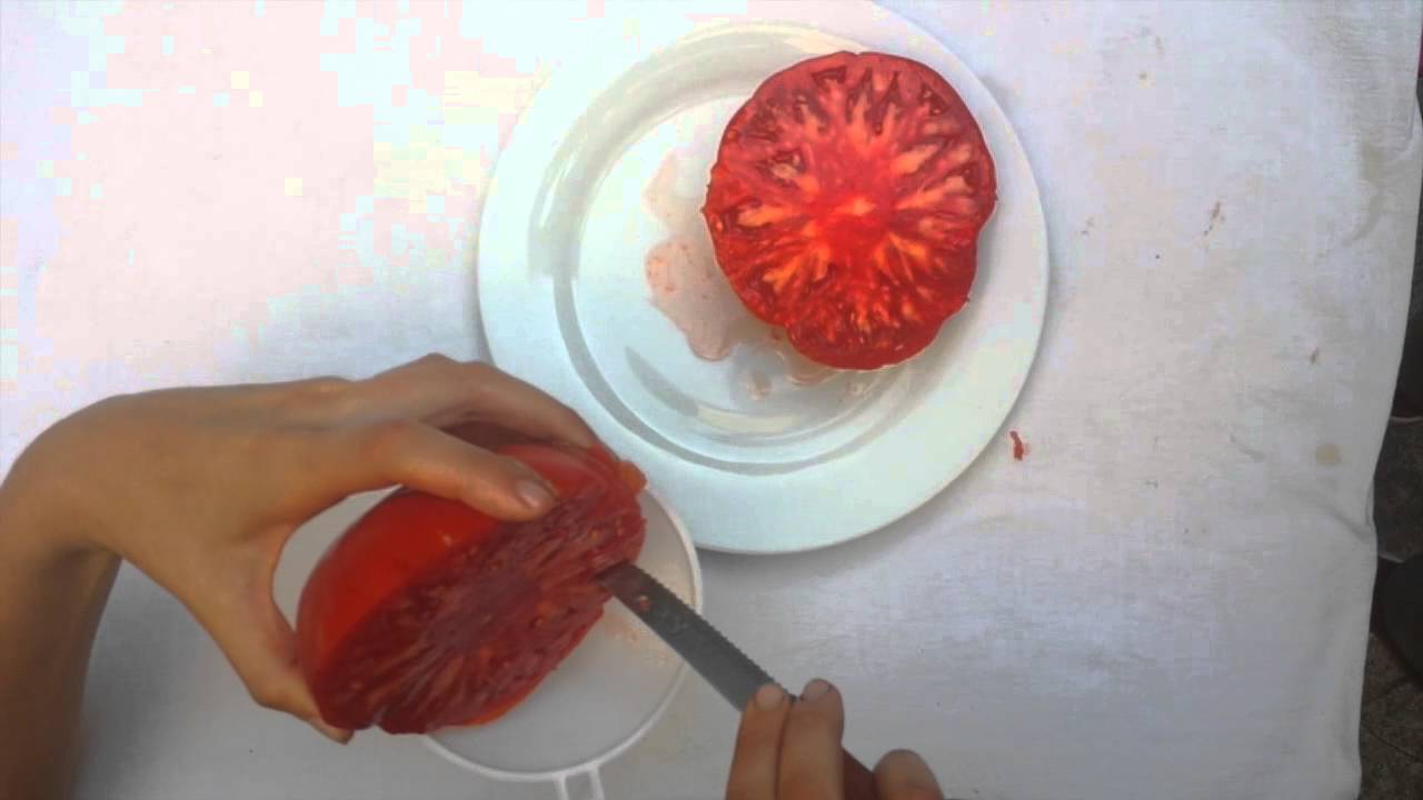 Récupérer des Graines de Tomates - TUTO #02