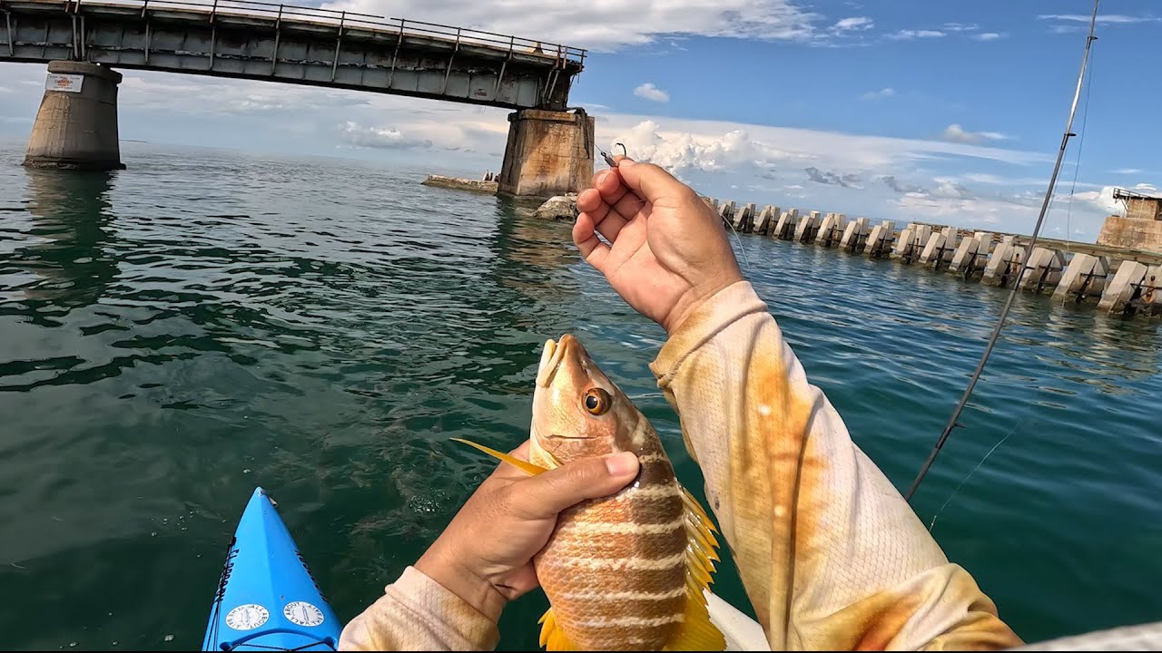 No Catchee No Cookee.  7-Mile Bridge Fishing With Pilchards + Hail Mary.