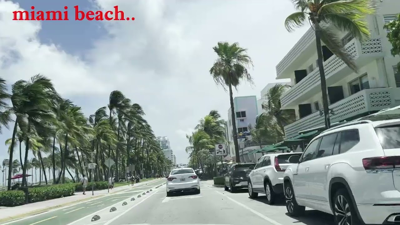 miami beach gezisi