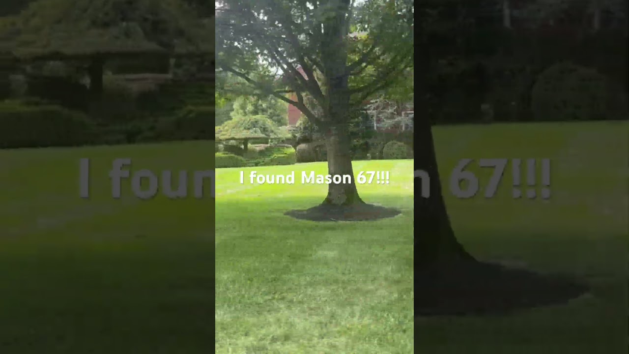 I found Mason 67!!! #baseball #67 #trending #hair #funny #fypviralシ