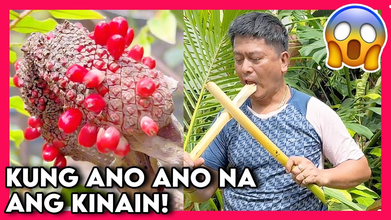 Black Cardinal in One Place Today | Omg! Makapoison kinain!
