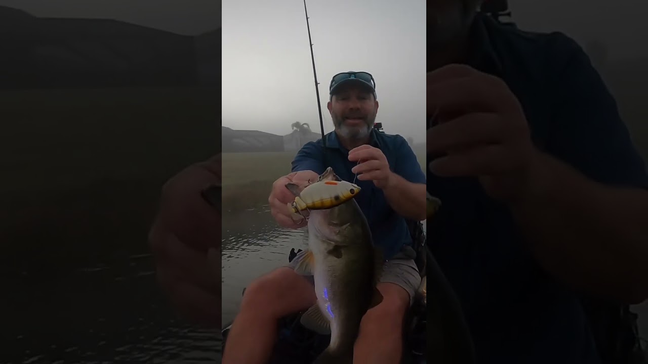 I Was Walking The Dog When This Bass Struck #shorts #short #dog #walking #bass #fishing #topwater