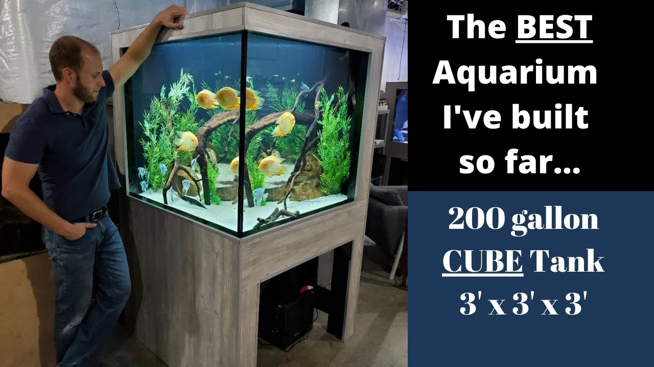 Our BEST DIY Aquarium Yet - 200g corner CUBE tank!