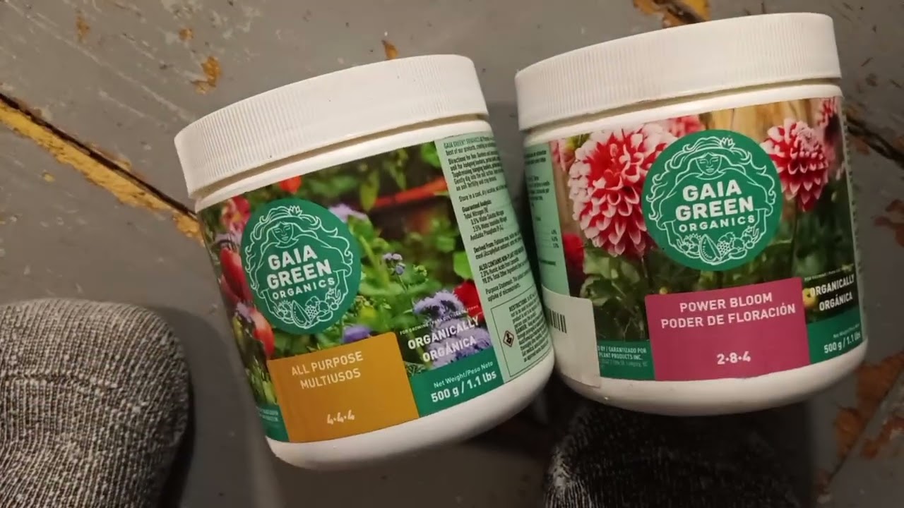 Gaia green thoughts and how I use it