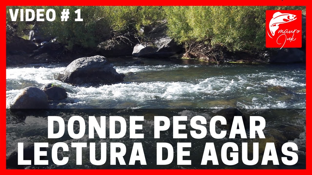 DONDE PESCAR, COMO PESCAR, PESCA DE TRUCHAS, pesca con mosca, fly fishing 🎣