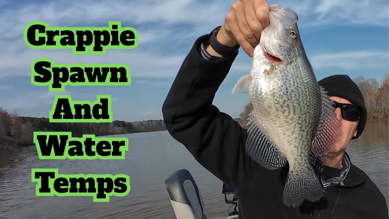 Must Know Crappie Spawn and Water Temps - Crappie Fishing