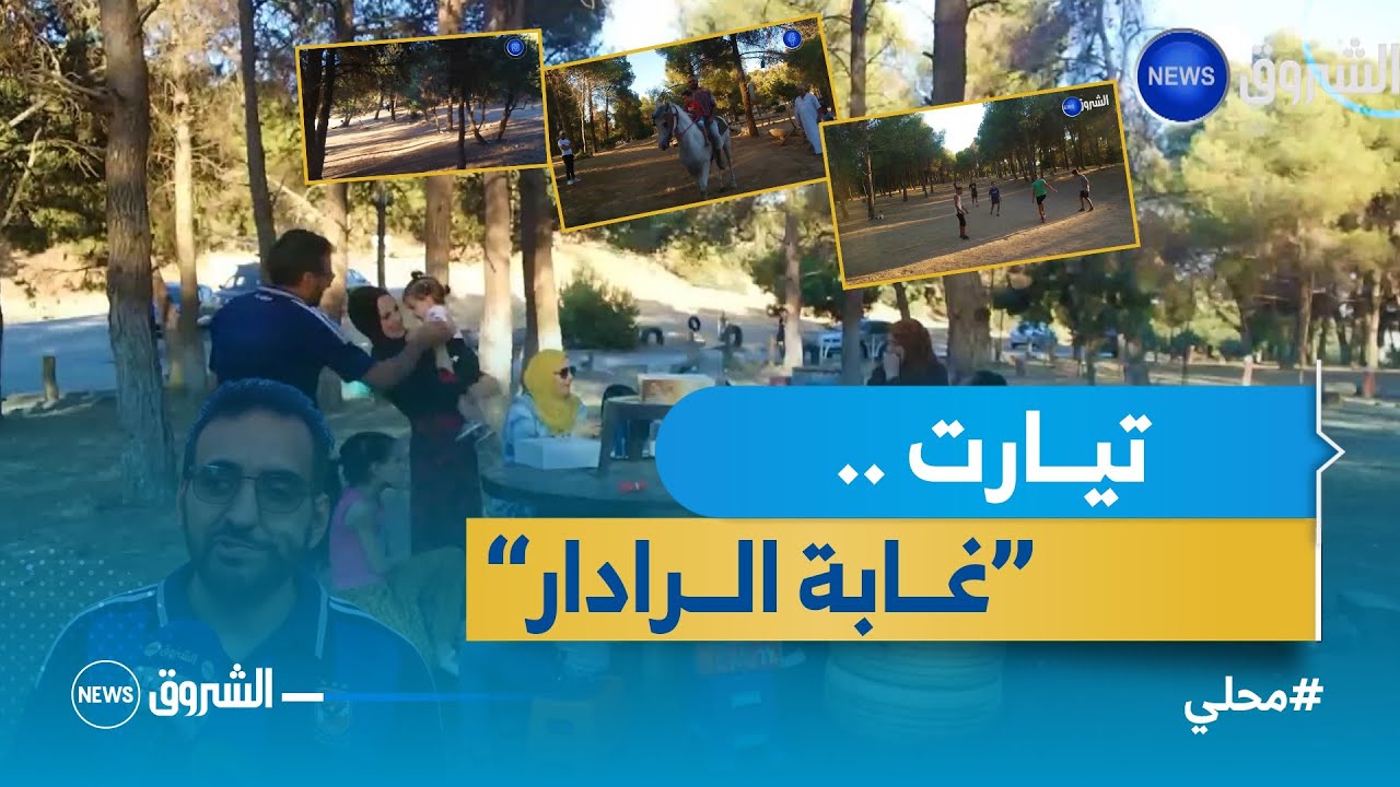 #تيارت.. غابة الصنوبر.. فضاء للتمتع بجمال الطبيعة والهروب من صخب المدينة