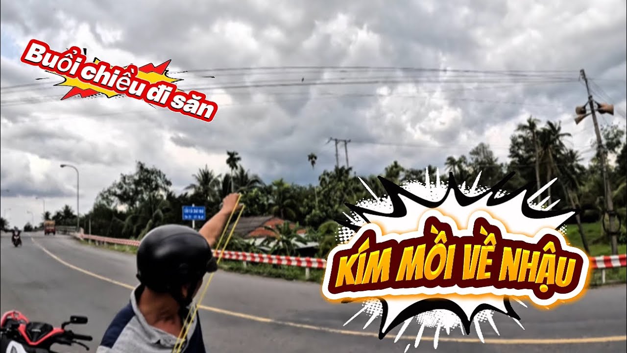 Hành săn bắn bằng ná cao su #slingshot #ongchuslingshot 