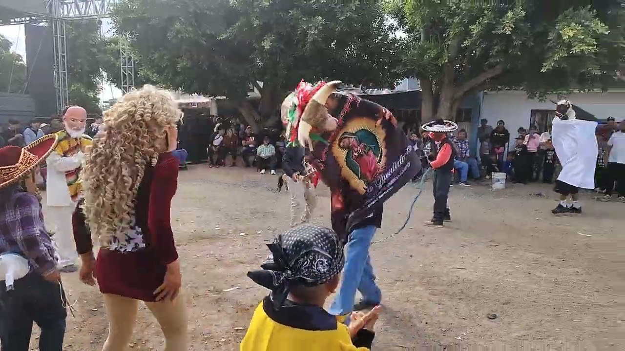 Torito tradicional en albarradones mpio de león GTO segunda parte 