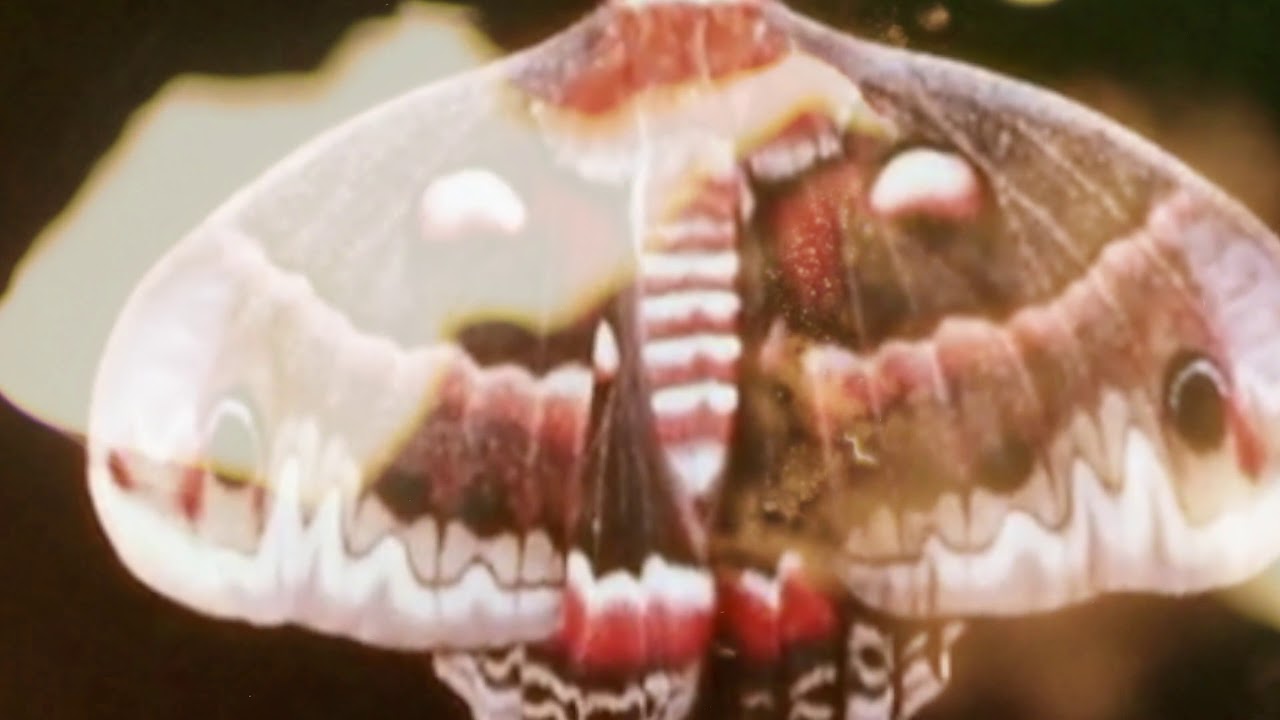 MONOTHEIST - THE GREY KING  (featuring Christian Alvestam) (OFFICIAL VIDEO)