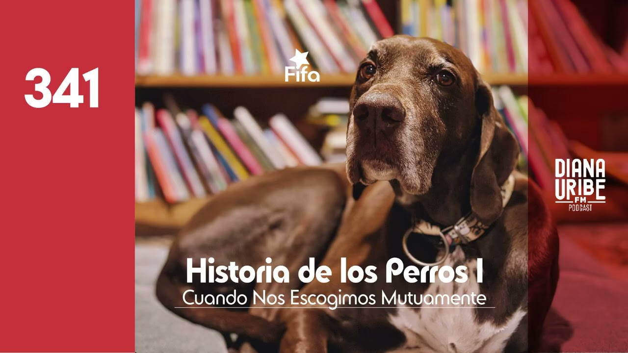 Historia de los Perros I: Cuando Nos Escogimos Mutuamente