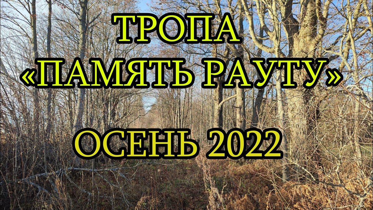 Осень и тропа 