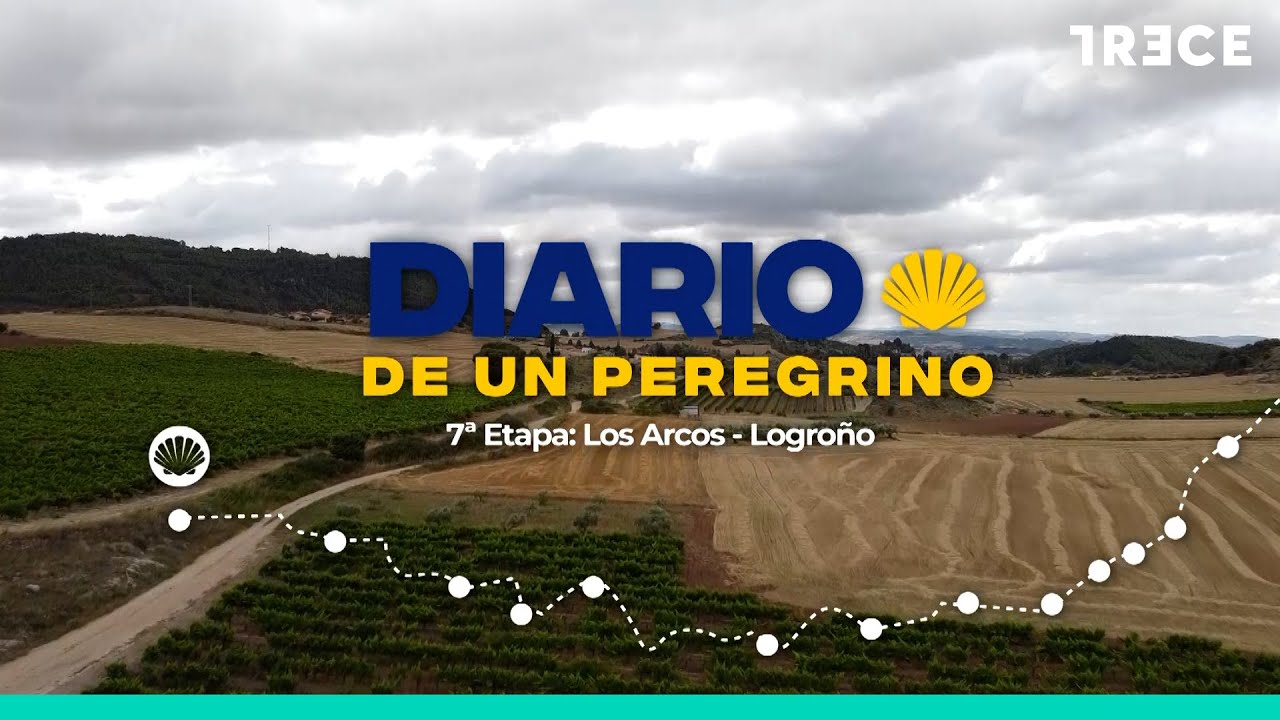 Diario de un peregrino: 7ª etapa, Los Arcos - Logroño