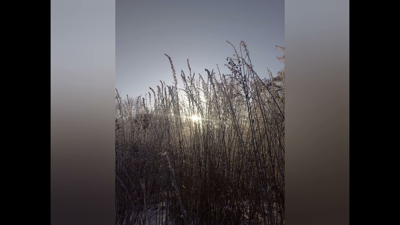 Didge Low G# Winter meditation 