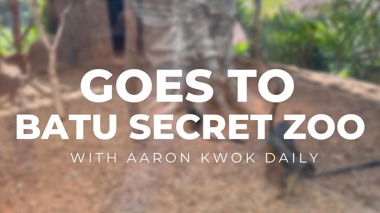 BATU SECRET ZOO WITH AARON KWOK