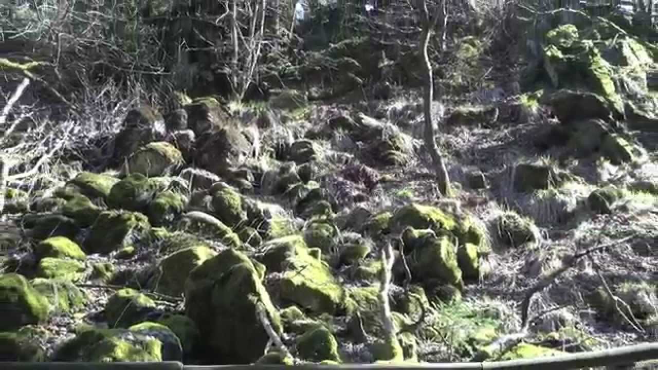 Geotope im Vogelsberg Geiselstein