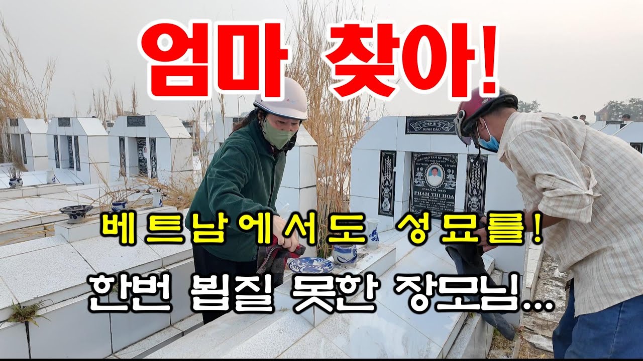 [베트남이주] 베트남 성묘.. 베트남에도 한국과 비슷한 성묘 문화네요#국제결혼 #한베가족 #베트남