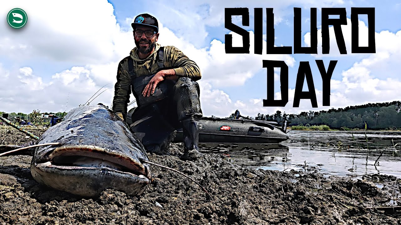 SILURO DAY - BIG da 1,90 MT a BREAKLINE e Tante Altre CATTURE nel GRANDE Fiume (CATFISHING PO River)