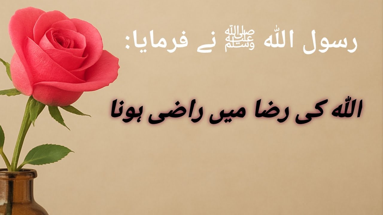 Golden Words in Urdu / Poetry status/❤️💫Urdu shayari Amazing 💫