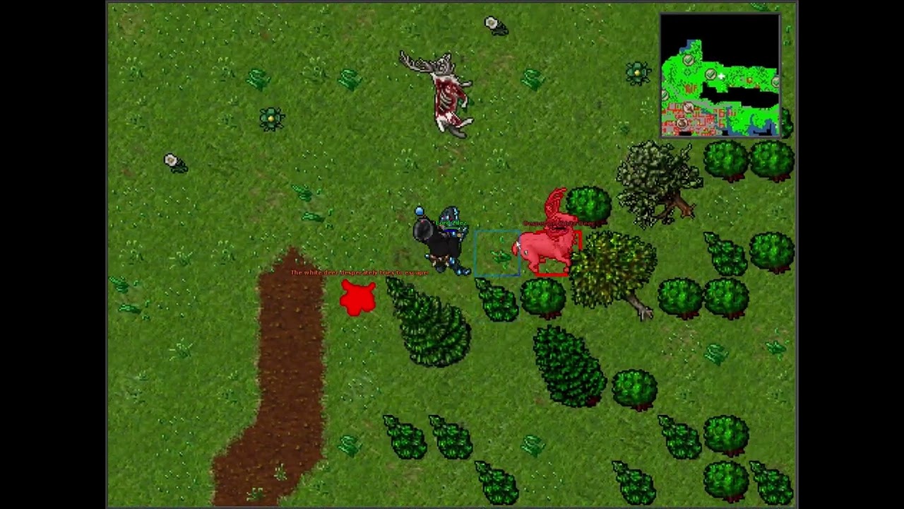 Tibia • Bestiary - White Deer
