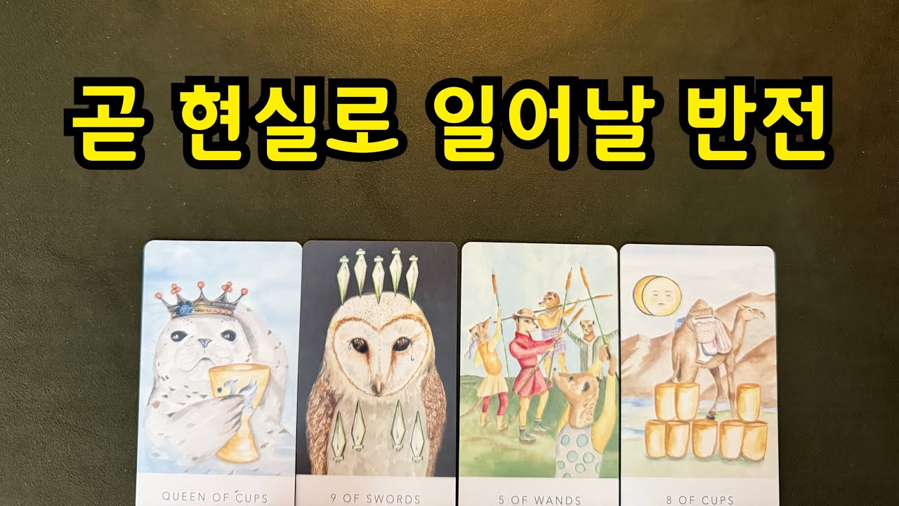 타로-곧 현실로 일어날 반전🕊️