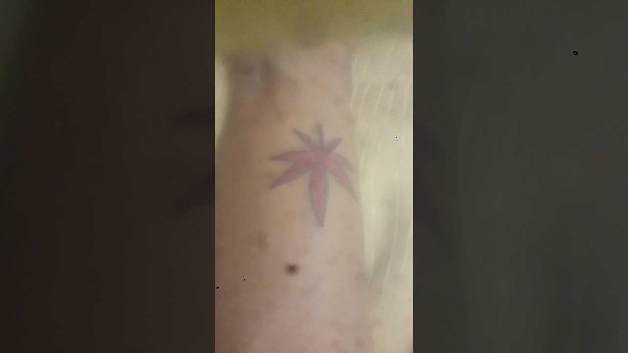 my tattoos