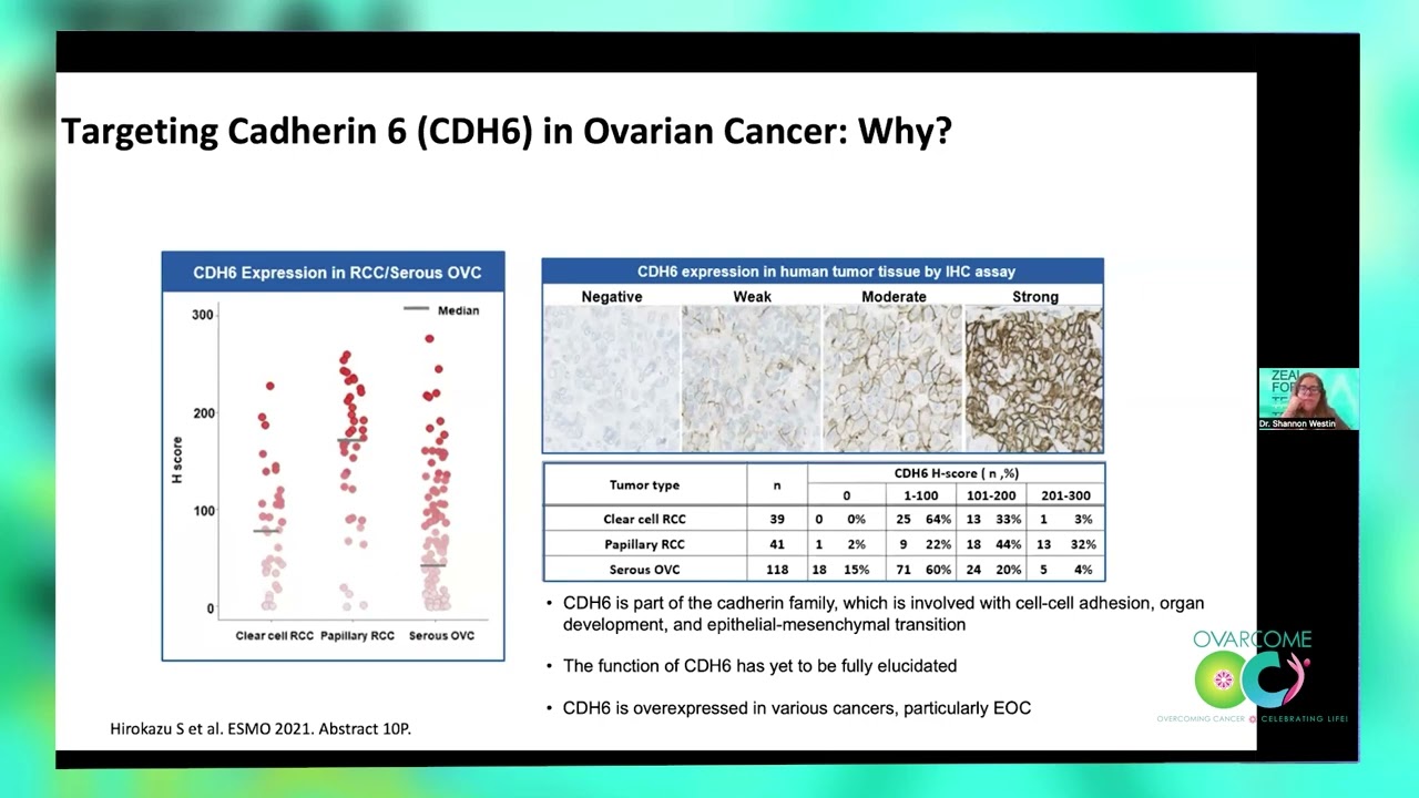 Innovative Clinical Trials in Ovarian & Gynecologic Cancers