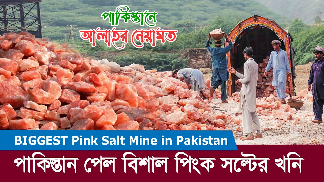 পাকিস্তানে আল্লাহর নেয়ামত পিংক সল্ট !! বিশ্বের সবচেয়ে দামি লবণ খনির সন্ধান !! Pink Salt Mine