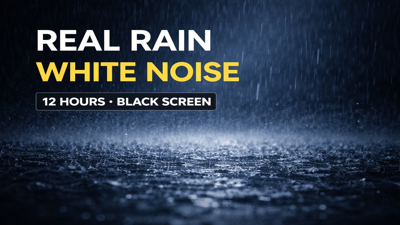 Real Rain White Noise for Deep Sleep & Baby Sleep | 12 Hours | Black Screen