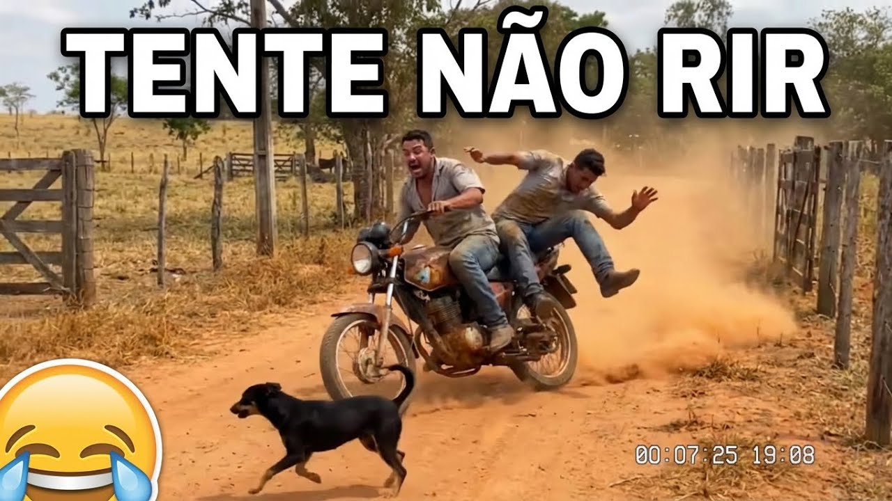 TENTE NÃO RIR: VÍDEOS ENGRAÇADOS 2026 E MEMES #DESAFIO