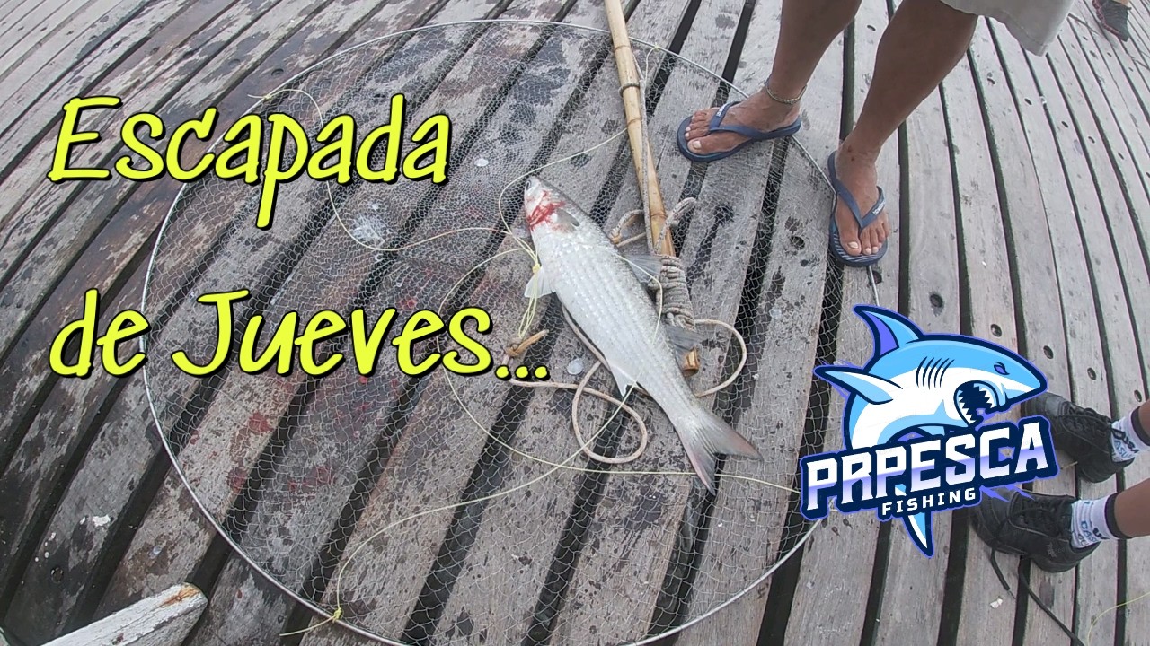 ESCAPADA DE JUEVES!!!! Pesca en Lucila del Mar....@Rodrigo Santana