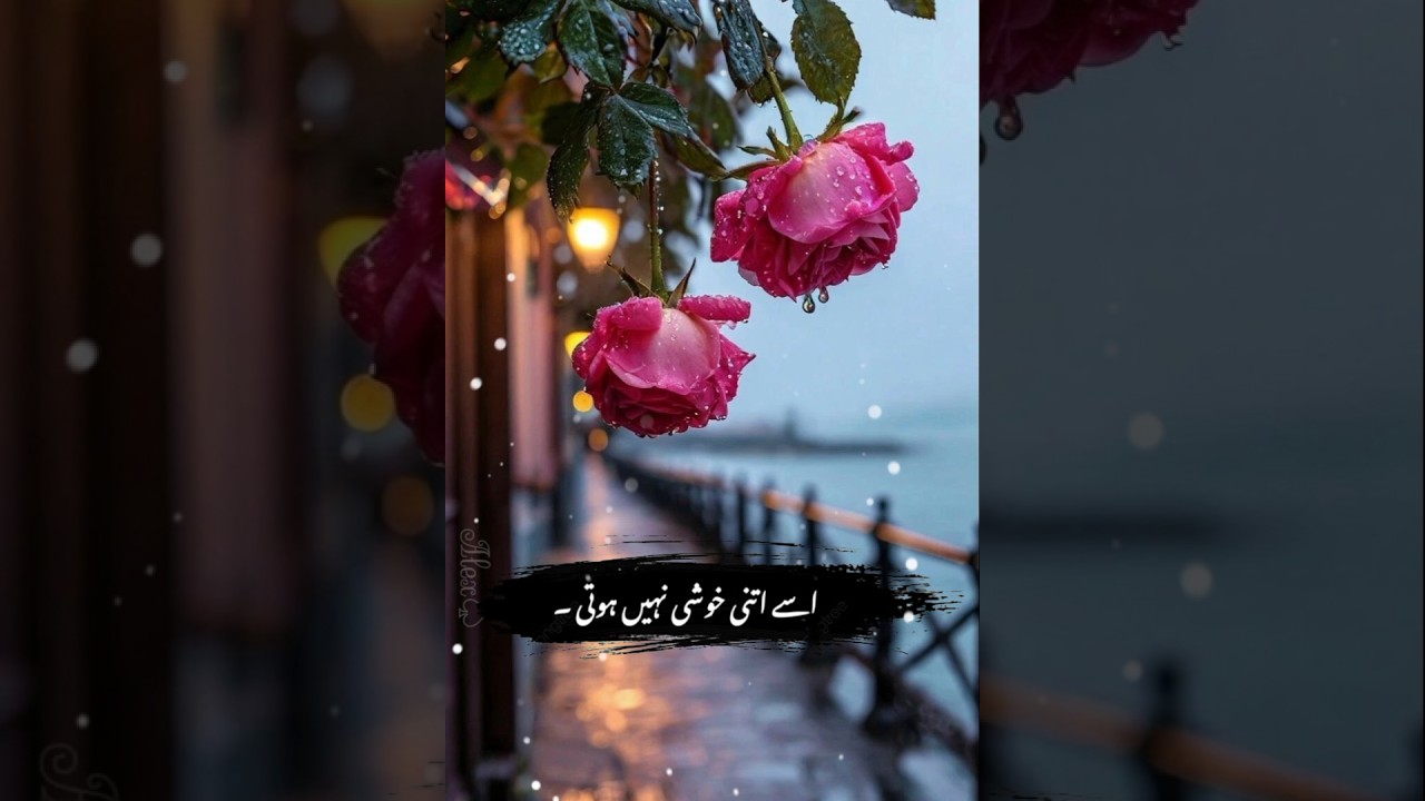 urdu heart touching poetry 💕&hearts;️😭🥹😊❤️ #urduhearttouchig #heartbroken #poetry @Sistrology  @DuckyBhai