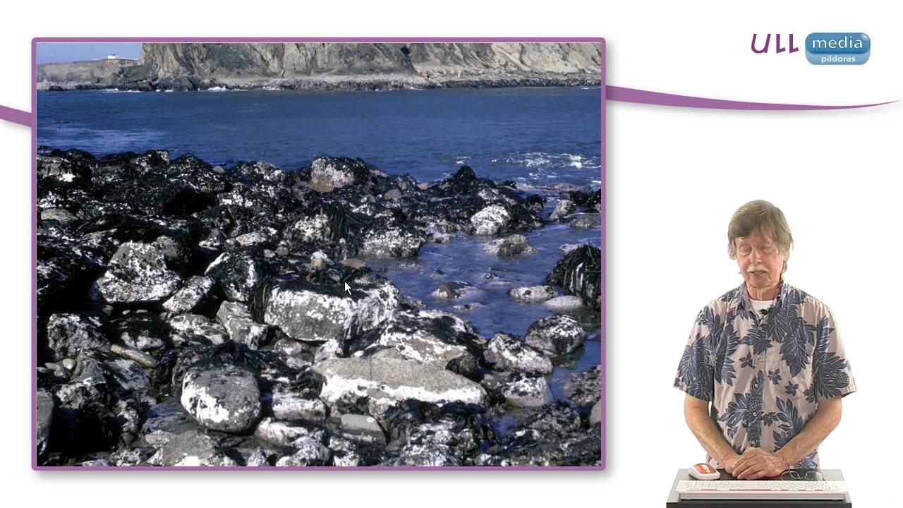 Temporal changes in the purple sea urchin along the Pacific Coast of North America