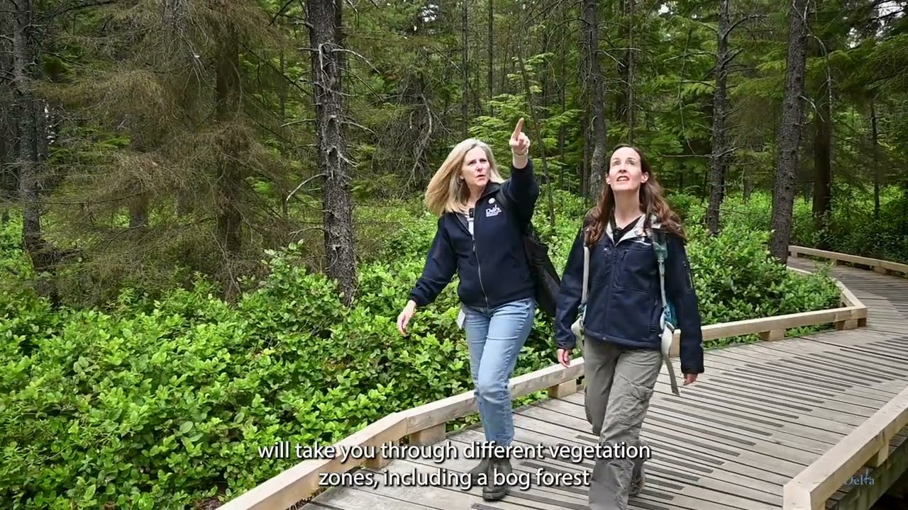 Delta Nature Reserve Tour - Burns Bog | City of Delta