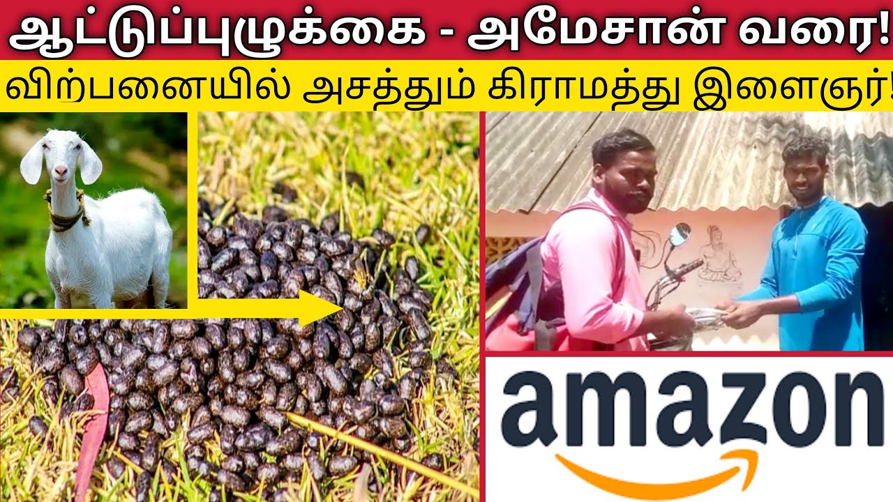 ஆட்டுப்புழுக்கை அமேசானில் விற்பனை! அசத்தும் கிராமத்து இளைஞர் - Village Youngster Rocking in 'Amazon'