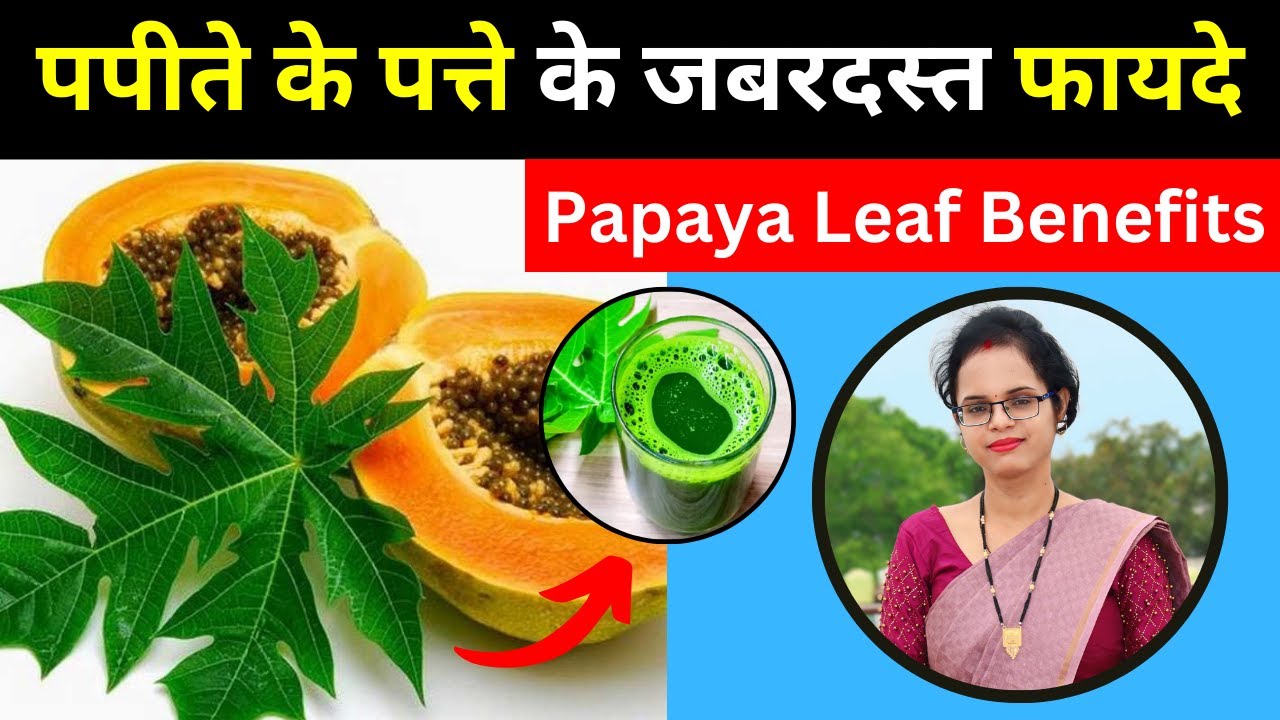 पपीते के पत्ते के जबरदस्त फायदे | Papaya Leaf Benefits | Pooja Banjara