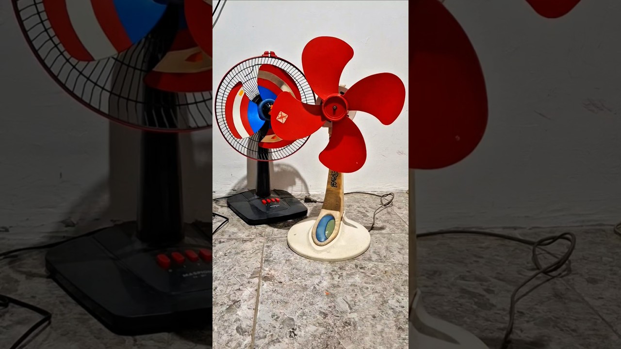 Ventilador Forte &bull; Table Fan test | #fan #ventilador #shorts